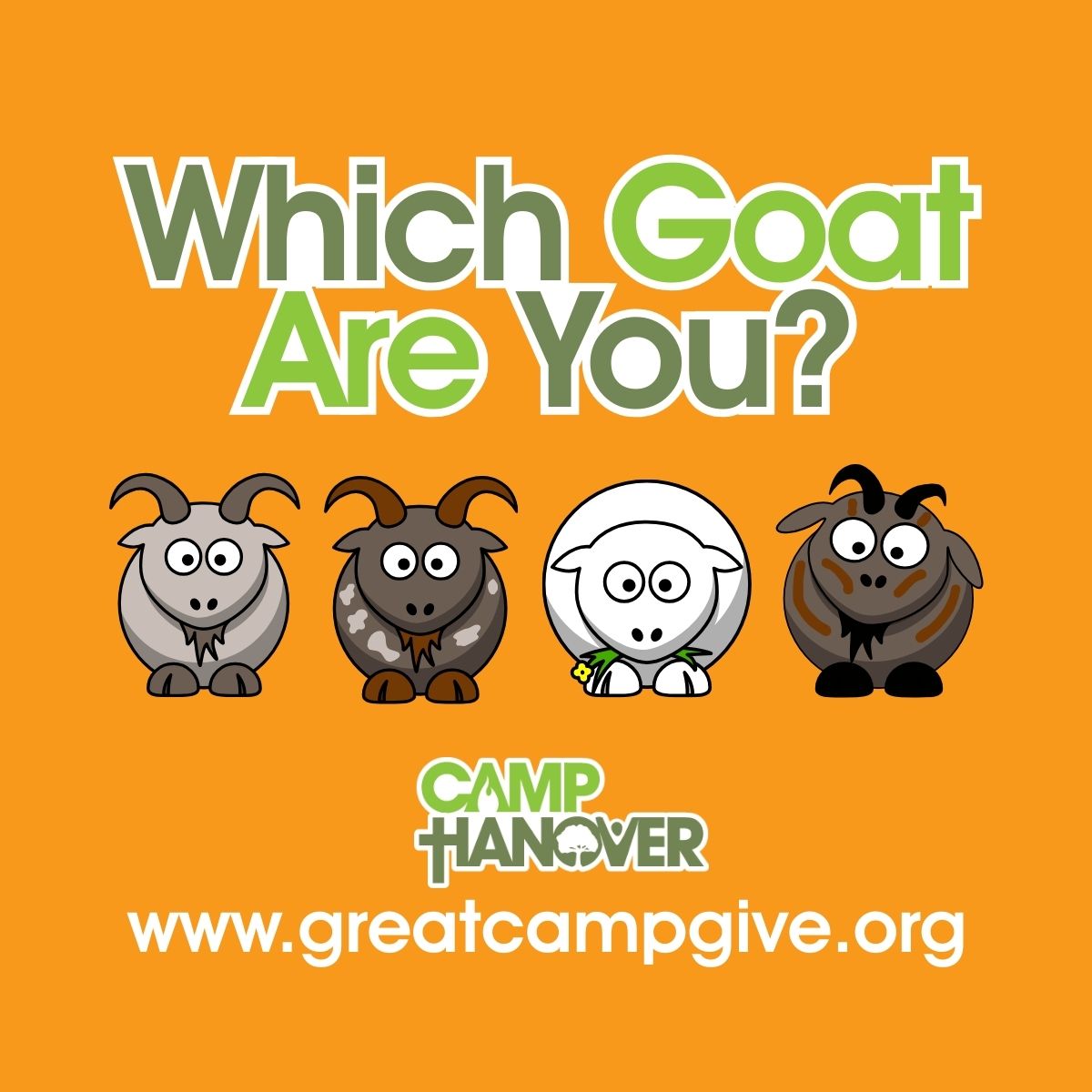 Which Goat Are You?