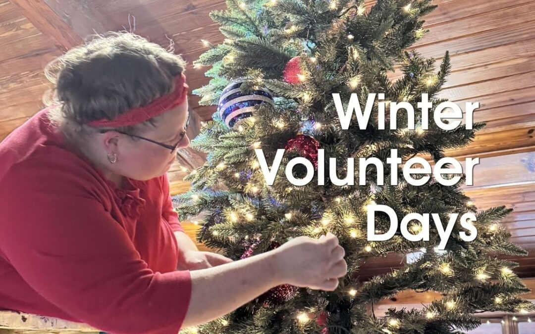 Volunteer for Hanover Christmas