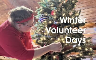 Volunteer for Hanover Christmas