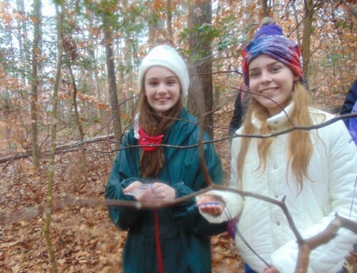 Special Opportunities to Visit Camp in December