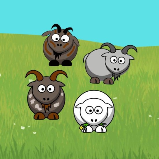 GCG25_4goats - 8