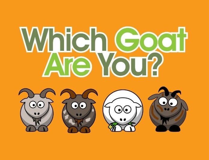 GCG25_goat_quiz4