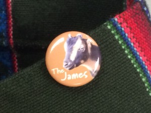 The James pin