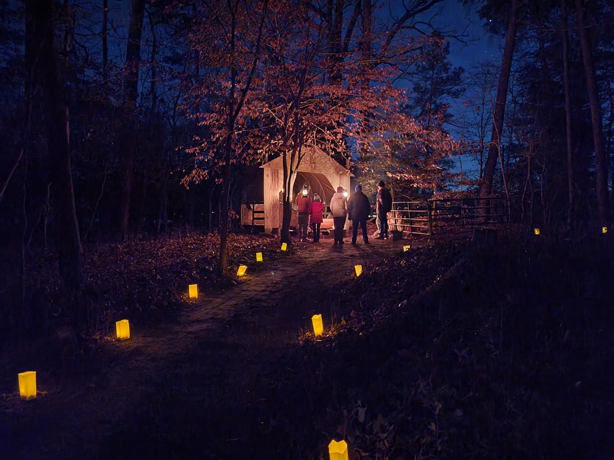 christmas_walk_web