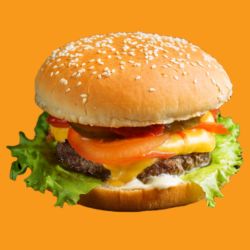 hamburger