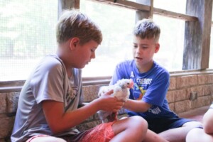 junior boys_chick